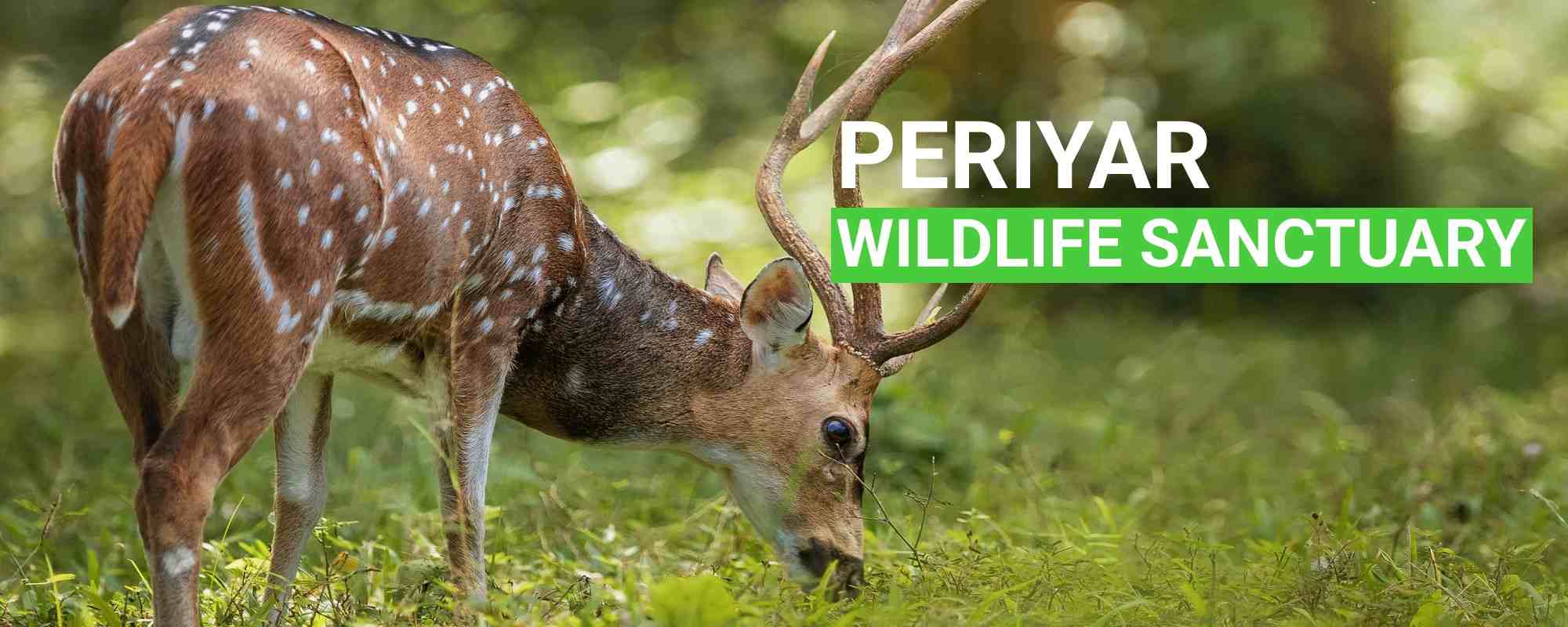 Periyar Wildlife Sanctuary